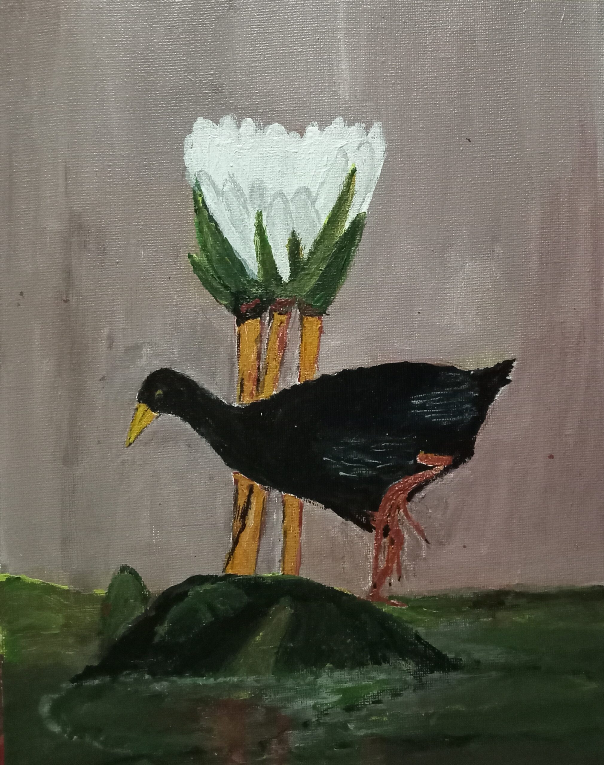 Water Bird