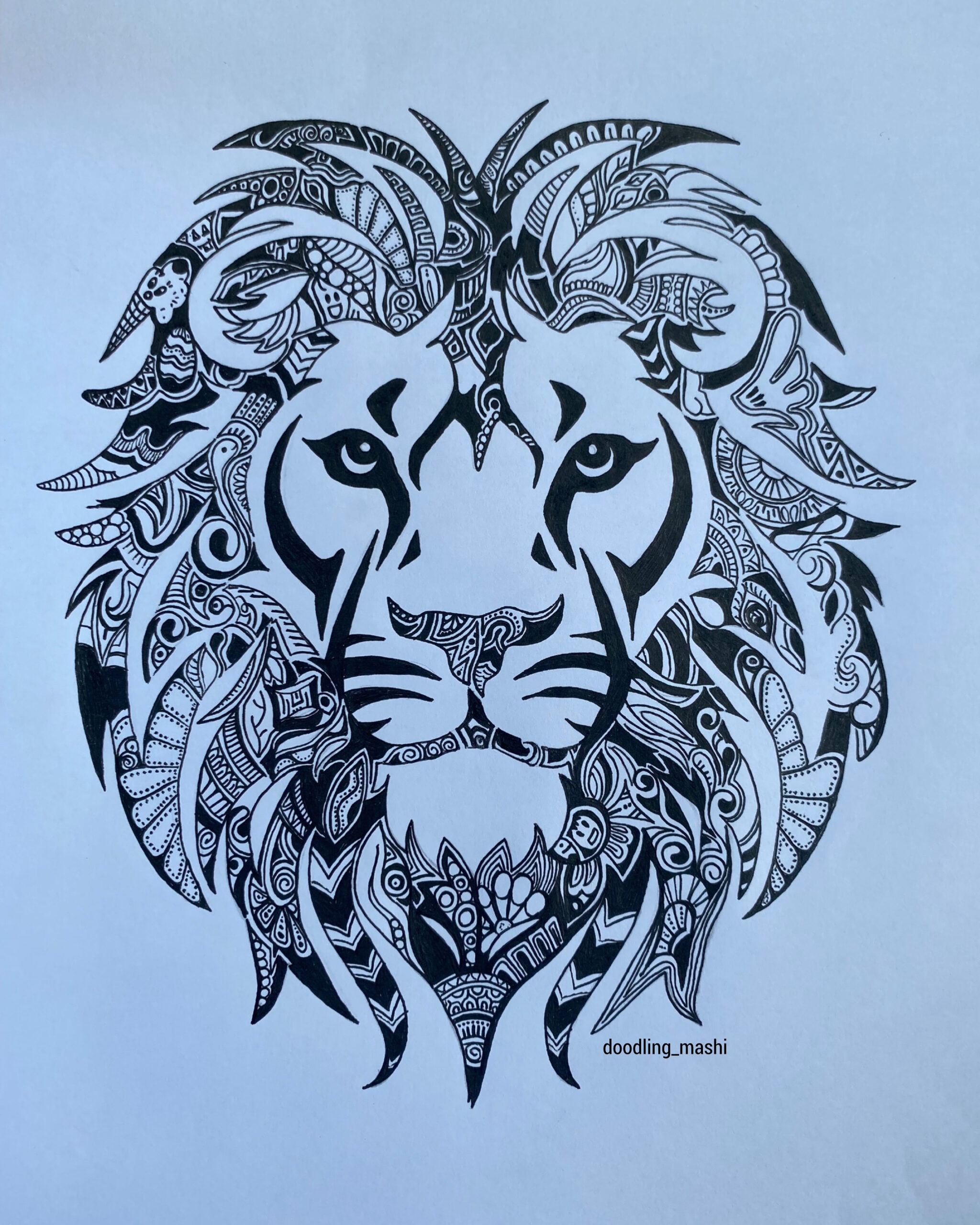 The Lion