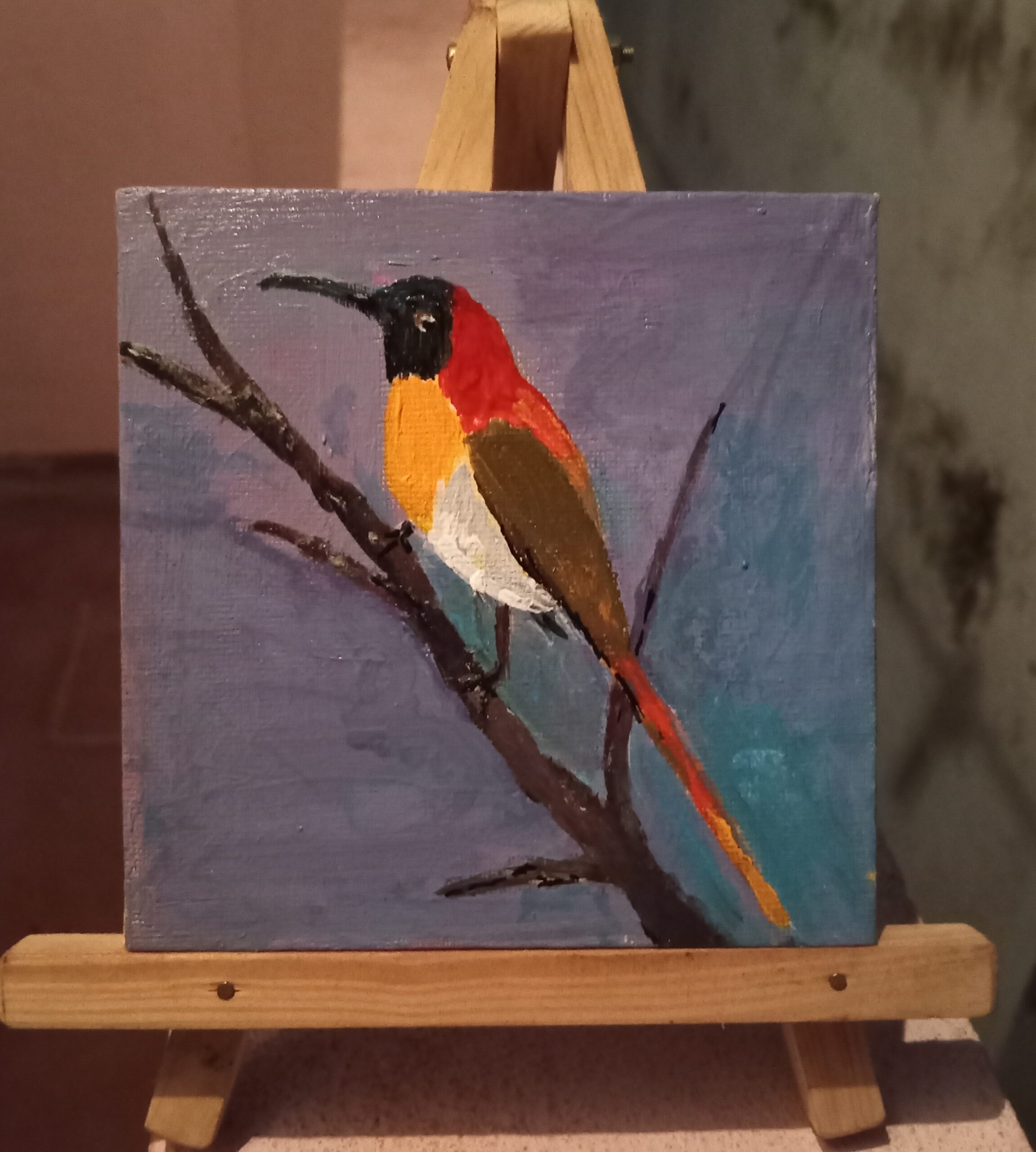 Sun Bird