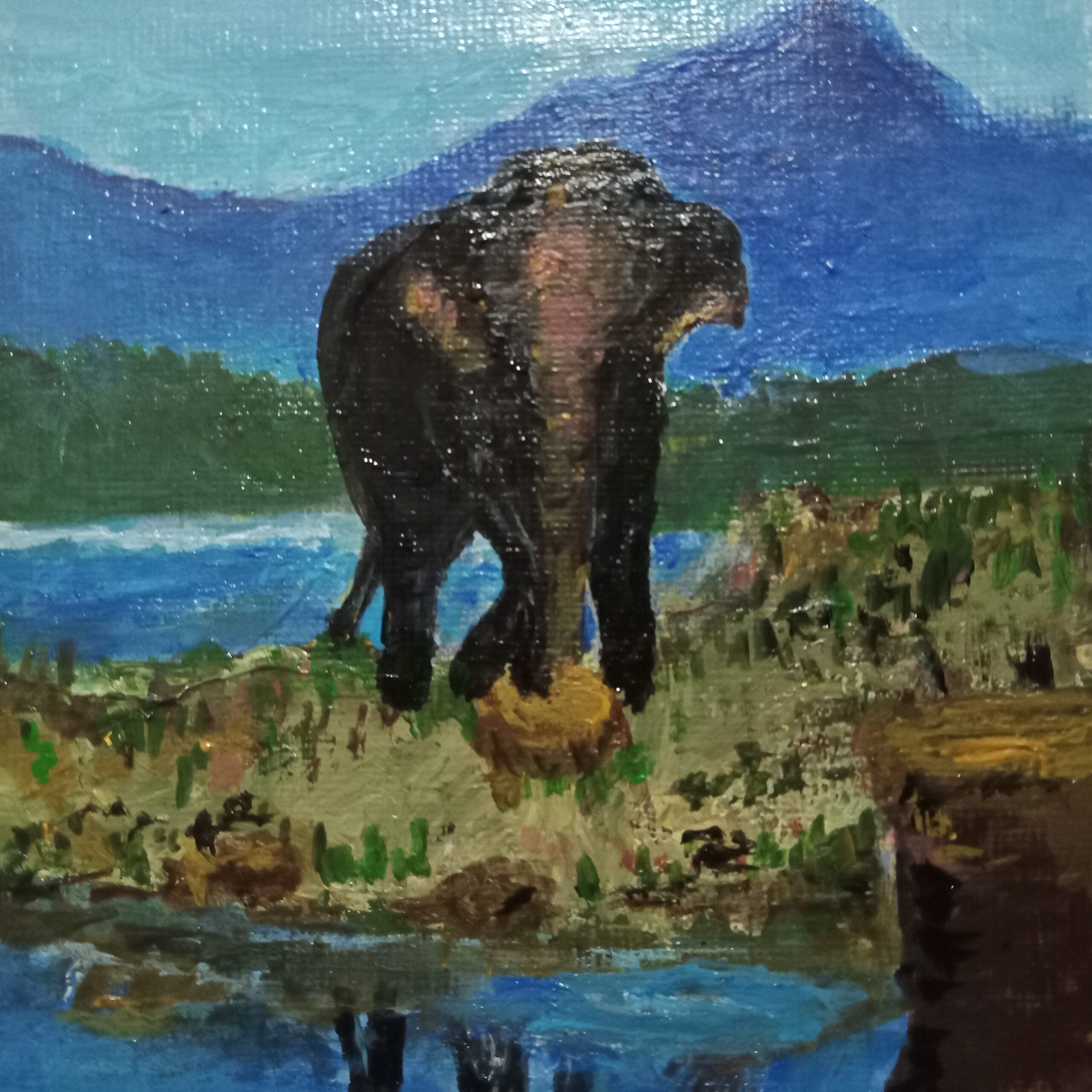 Sri Lankan Elephant @ The Gal Oya