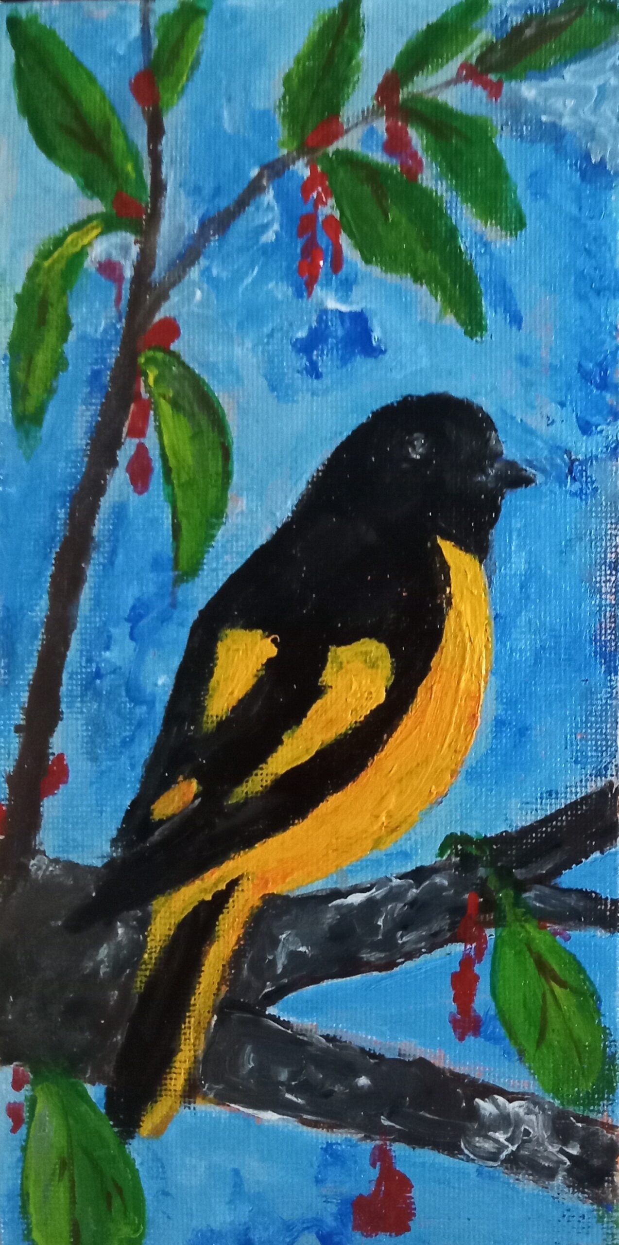 Orange Minivet