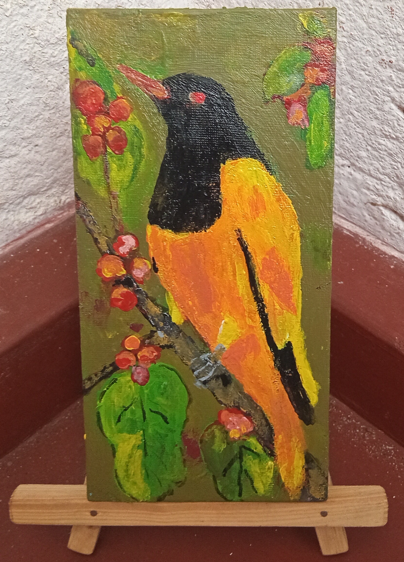 Sri Lankan Oriole