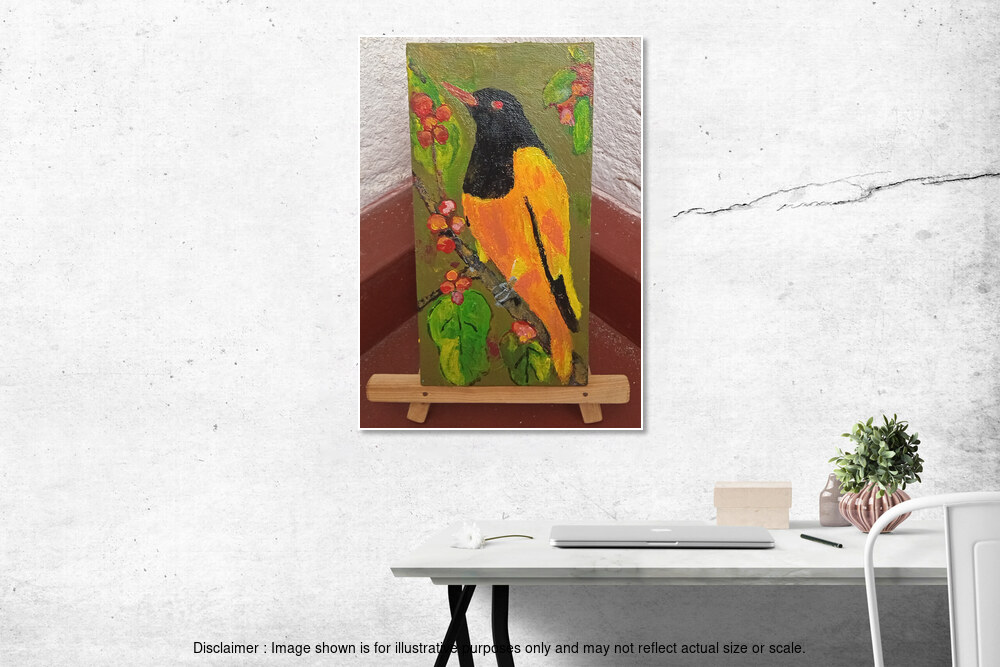 Sri Lankan Oriole