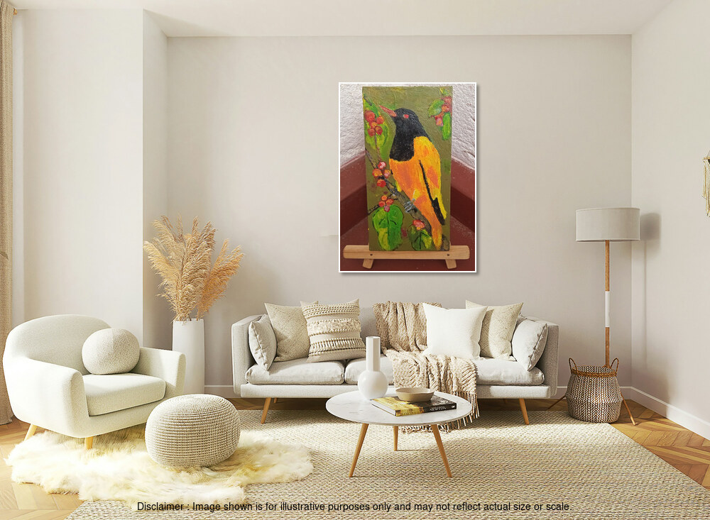 Sri Lankan Oriole