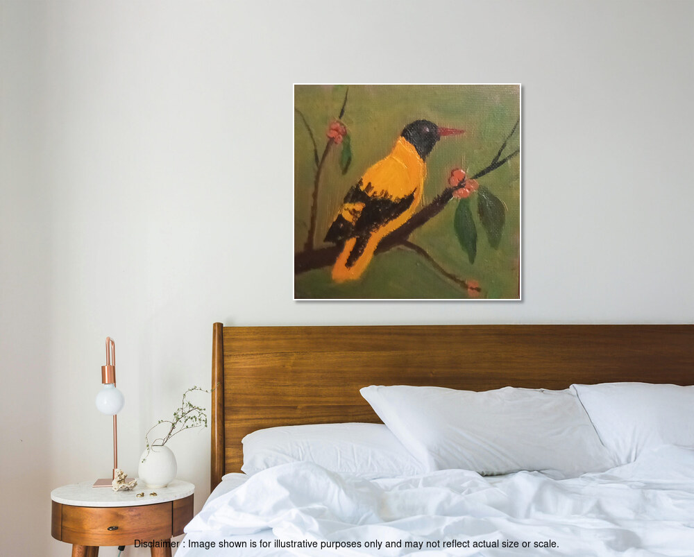 Sri Lankan Oriole
