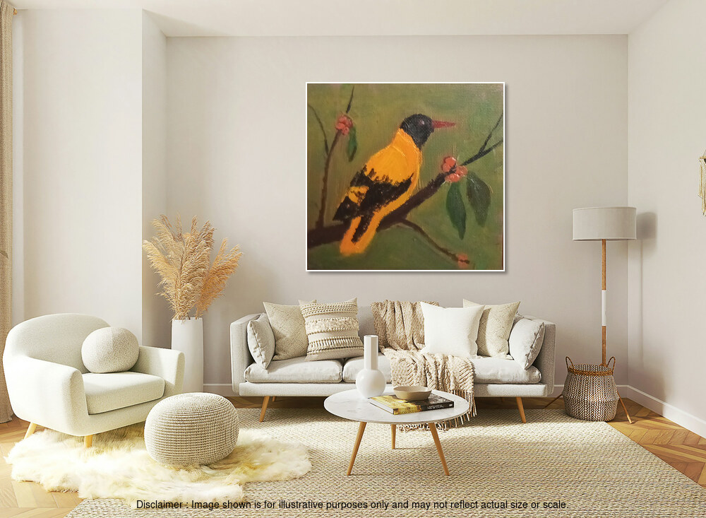 Sri Lankan Oriole