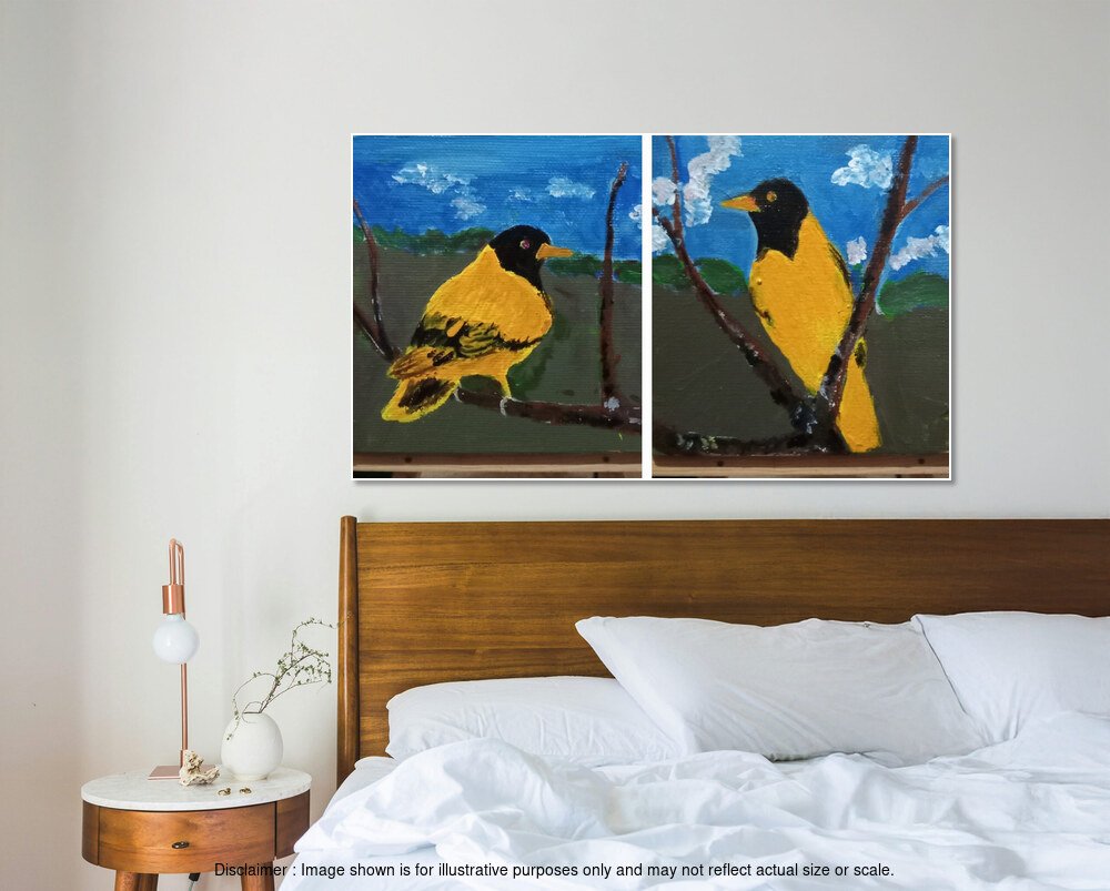 Sri Lankan Oriole