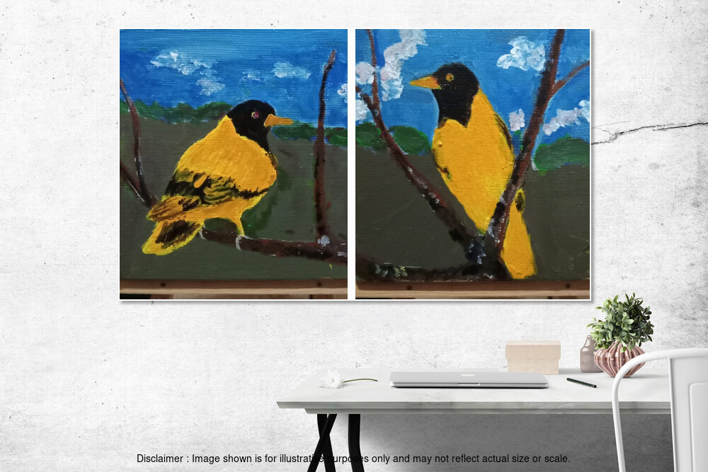 Sri Lankan Oriole