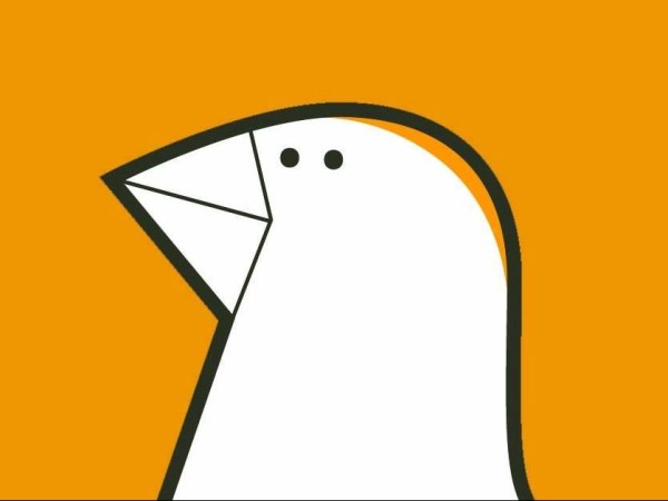 Vveaver Bird
