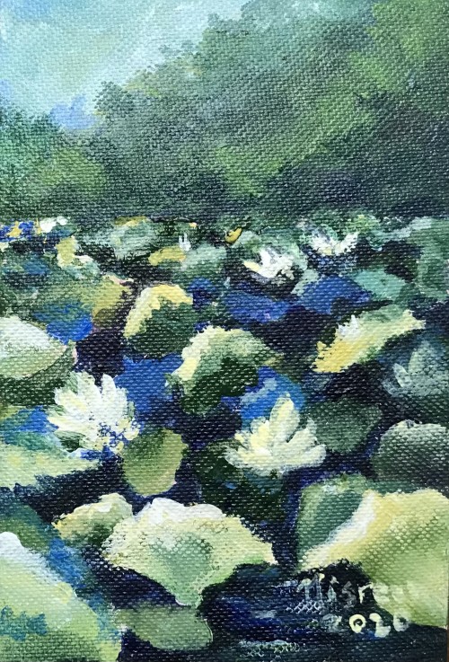 Mini Landscape