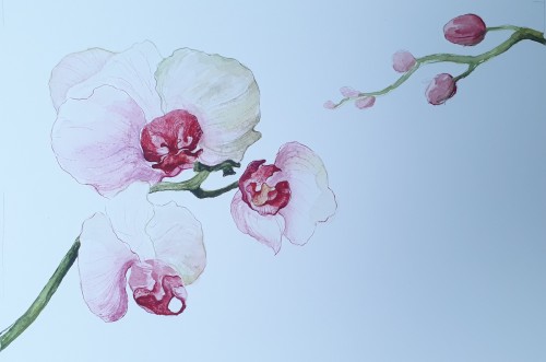 The Flower