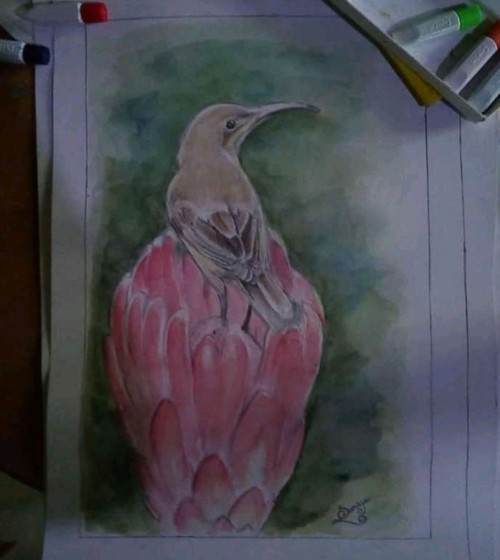 Watercolor Painting