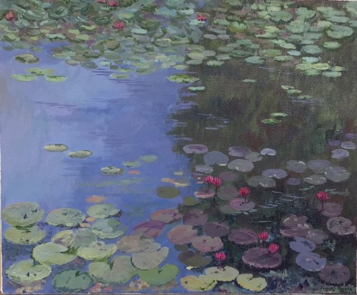 Lotus Pond- Diyawanna Oya