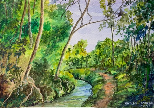 Path By The Canal