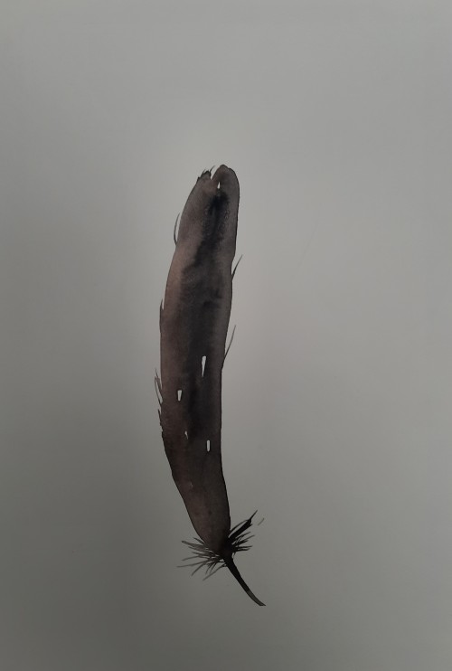Feather