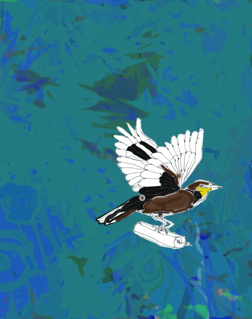 Message Bird