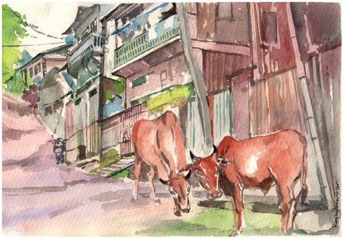 Village
