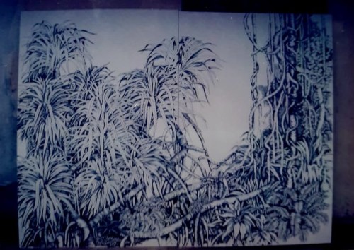 Beach Side Trees