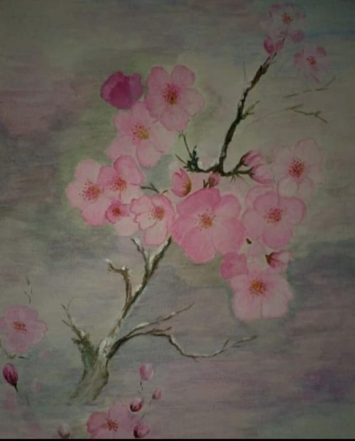A Canopy Of Pink Flowers