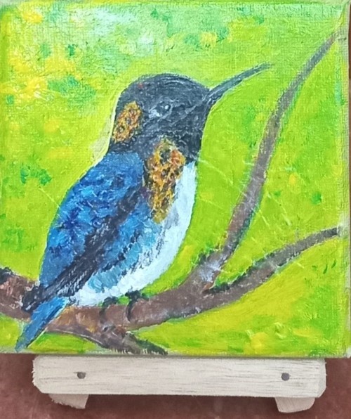 Hummingbird