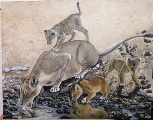 Lion Family