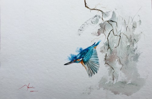 Behabing Freely Kingfisher