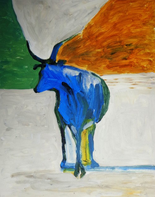 Playful Bull