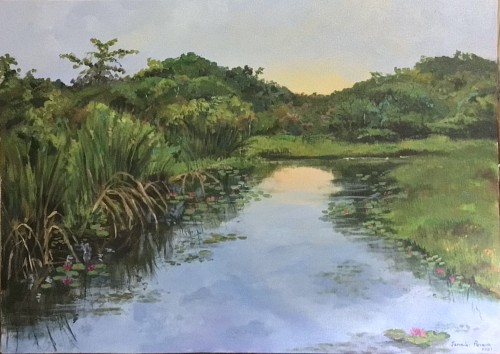 Sunrise In The Wetlands