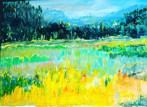 Shrubland In California