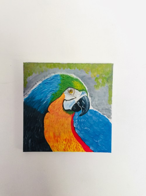 Macaw Parrot