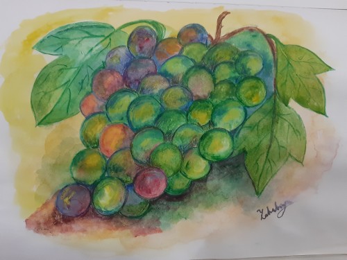 Bunch Of Grapes