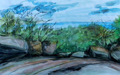 Rock In The Forrest