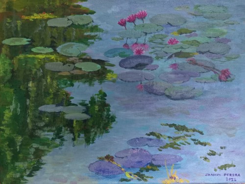 Water Lilies