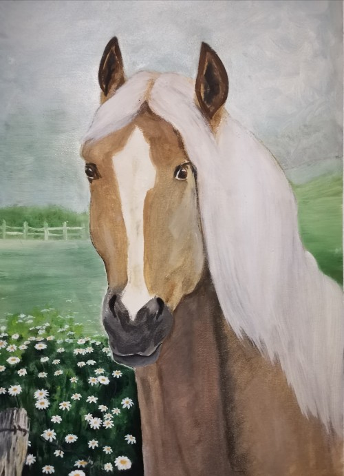 Horse In A Meadow Of Daisies