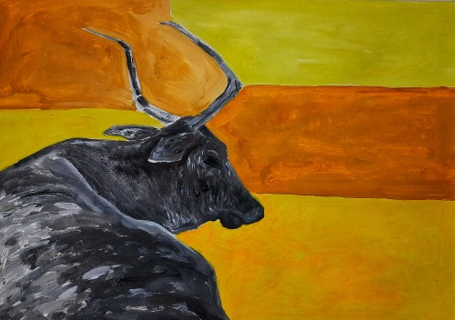 Playful Bull