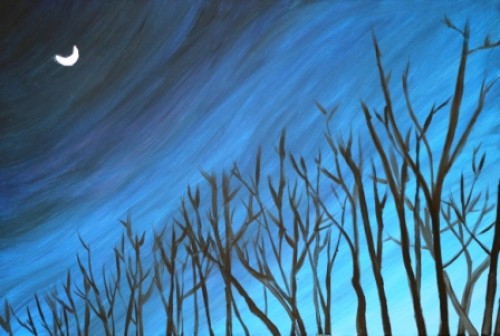 Night Sky