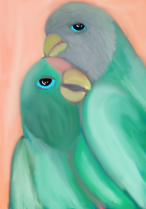 Parrots In Love