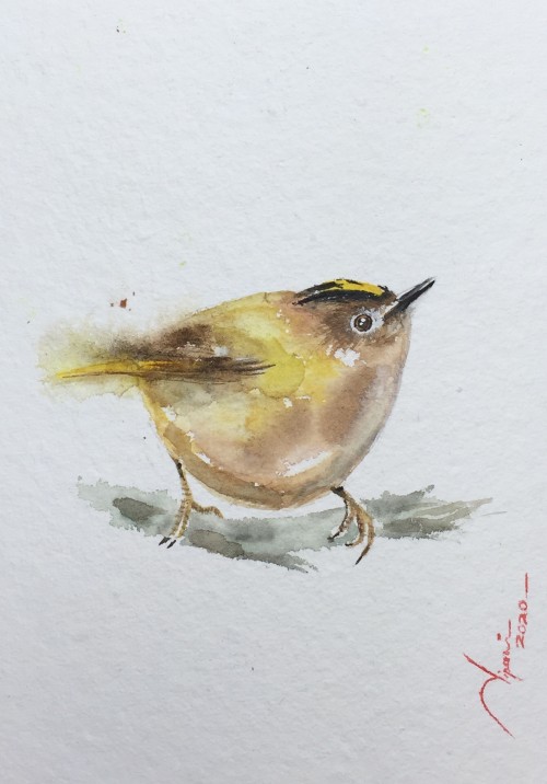 Yellow Bird (2)
