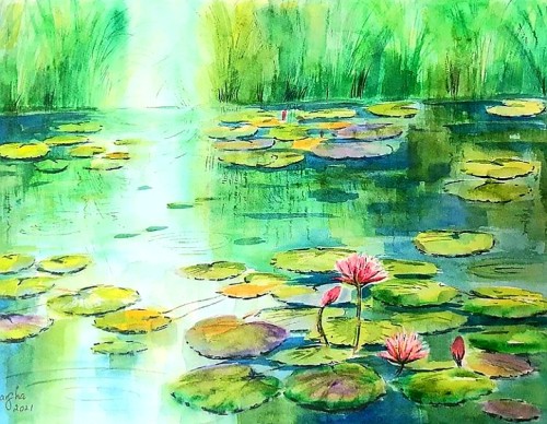 Sunlight Over The Pond