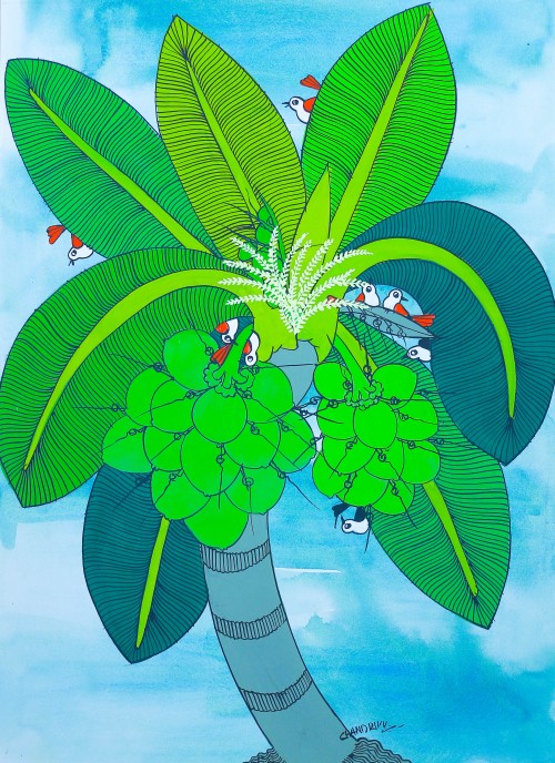 Coconut Tree