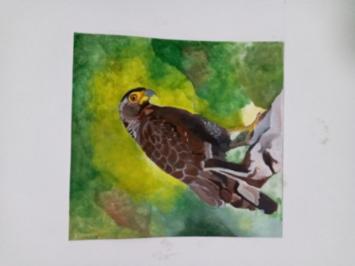 Water Couler Painting