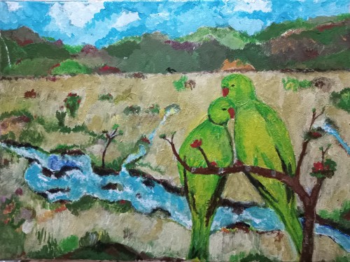 Pair Of Rose-Ringed Parakeet