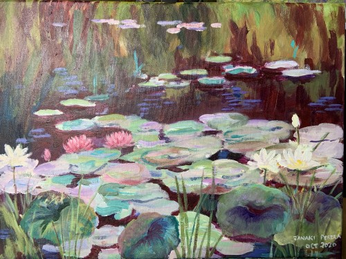Lotus Pond, Sri Lanka