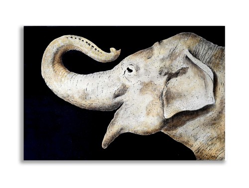 The Asian Elephant