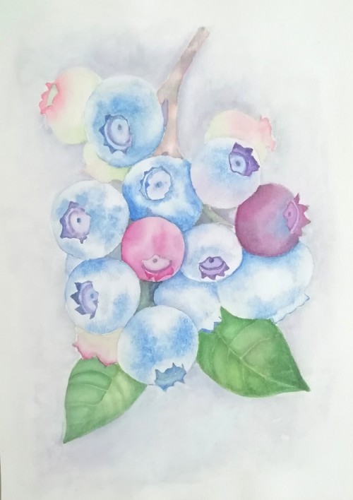 Blue Berries