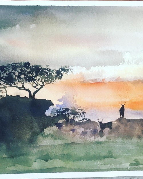 Day Break At Yala
