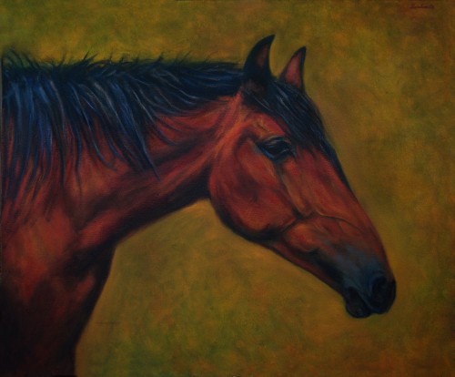 Profile Of Bay Horse