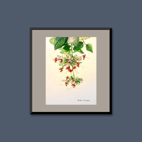 Tropical Flora