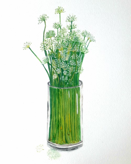 Onion Flowers