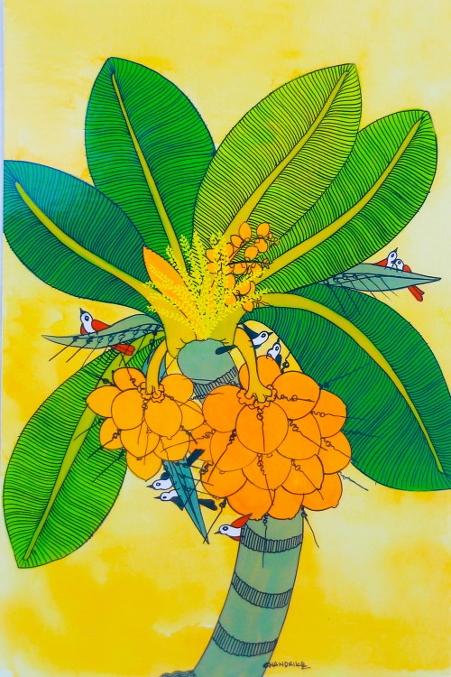 King Coconut Tree